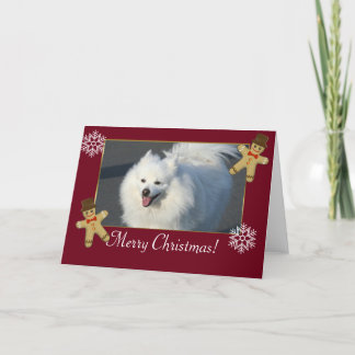 Perro esquimal americano de las Felices Navidad