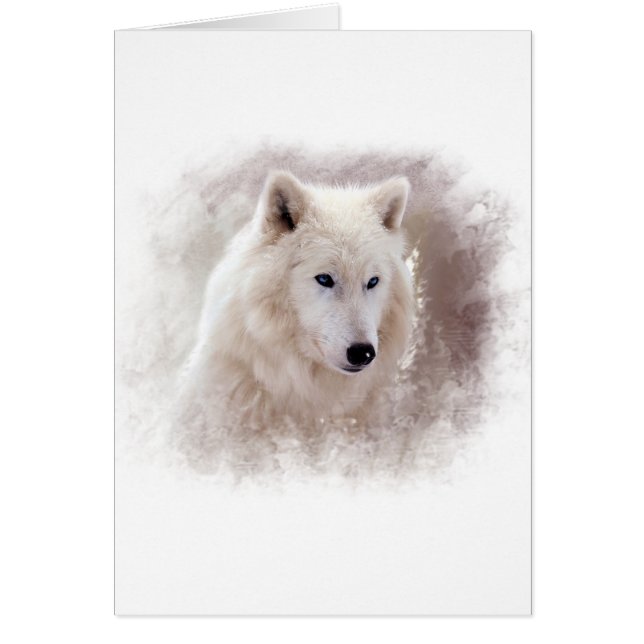 PERRO ESQUIMAL SIBERIANO BLANCO (Frente)