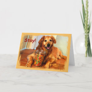 Perro feliz con tarjeta de tratamientos de cuarent