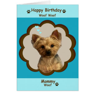 Perro Feliz cumpleaños, mamá de Yorkie con foto