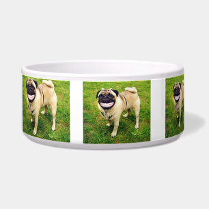 PERRO FELIZ DE LA SONRISA FELIZ DE COMER MI CUENCO