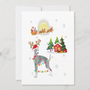 Perro Galgo Luz Navidad Reno Árbol Navidad