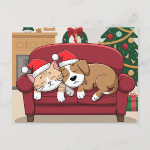 perro gato gorro santa navidad
