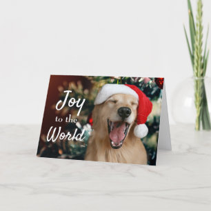Perro Golden Retriever Alegría al Mundo Navidad