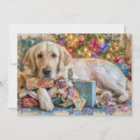 Perro Golden Retriever Presenta Navidad