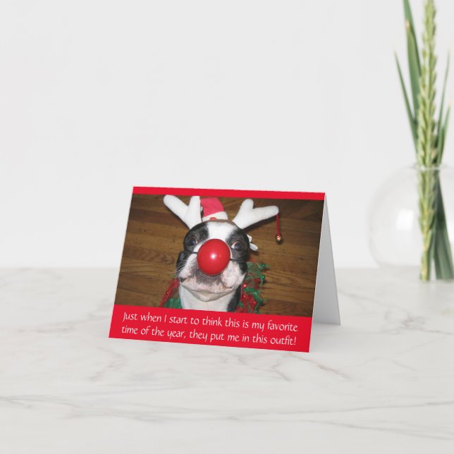 Perro gracioso en la tarjeta navideña Navidades de (Anverso)