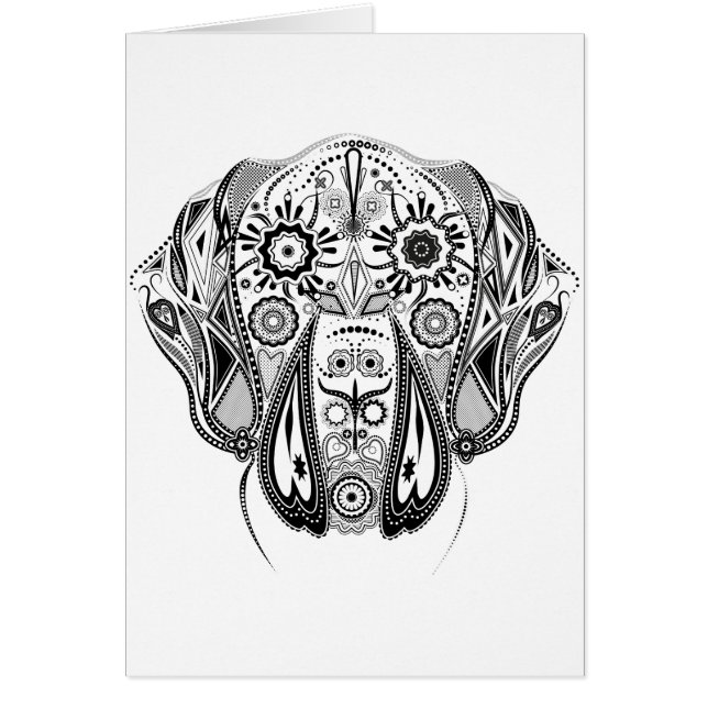 Perro grande negro y blanco (Frente)