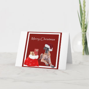Perro great dane del navidad