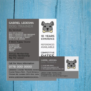 Perro gris, publicidad de entrenador de perros