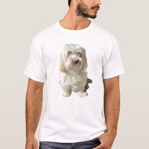 Perro habanés de la camiseta de los hombres
