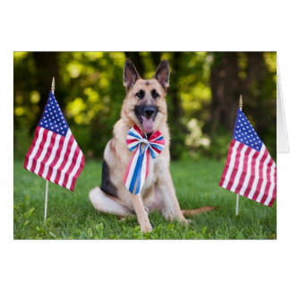 Perro "halcón " del rescate