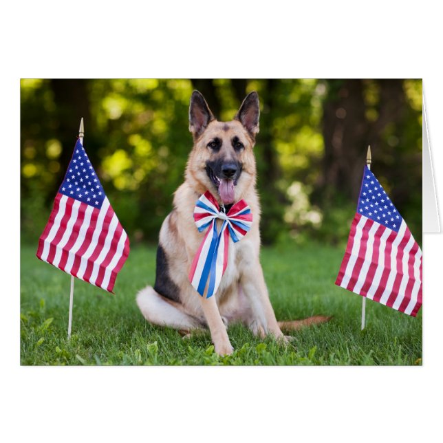 Perro "halcón " del rescate (Anverso (Horizontal))