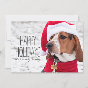 Perro hetero con abrigo de invierno y un Navidad