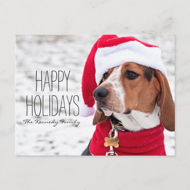 Perro hetero con abrigo de invierno y un Navidad (Anverso)