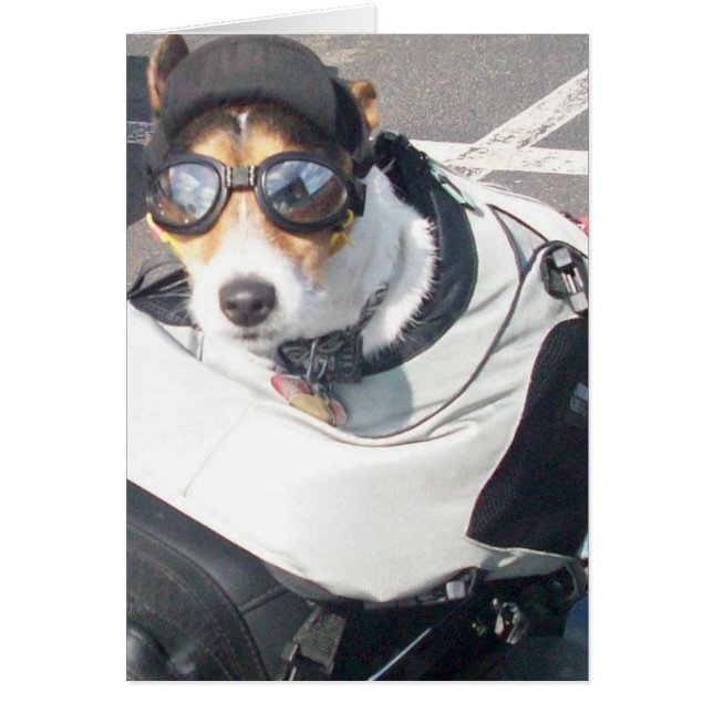 Perro Hog (Frente)