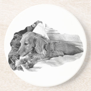 Perro Holandés Descansando –  Posavasos Gráfico