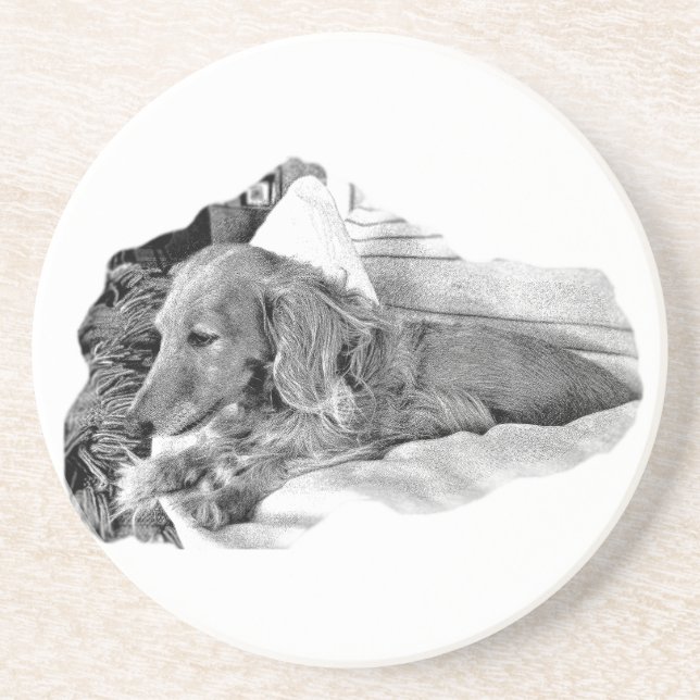 Perro Holandés Descansando –  Posavasos Gráfico (Frente)