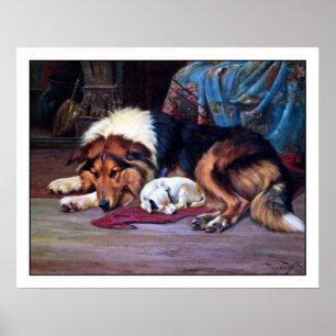 Perro huérfano con collie - Impresión de Bella Art