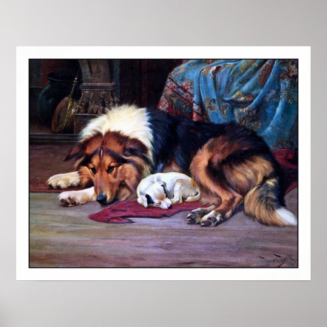 Perro huérfano con collie - Impresión de Bella Art (Frente)