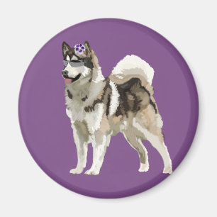 Perro Husky con imán de foto de flor