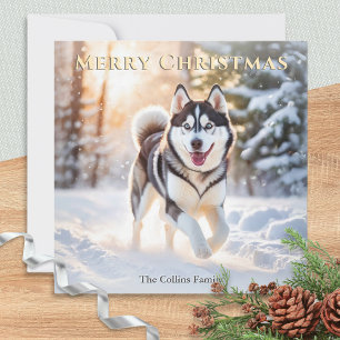 Perro Husky En Nieve De Invierno Feliz Navidad