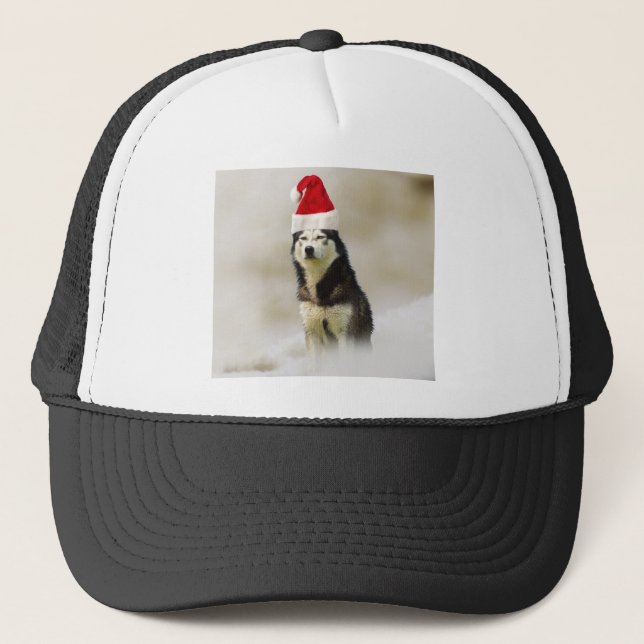 Perro Husky Siberiano con Sombrero de Nieve (Anverso)