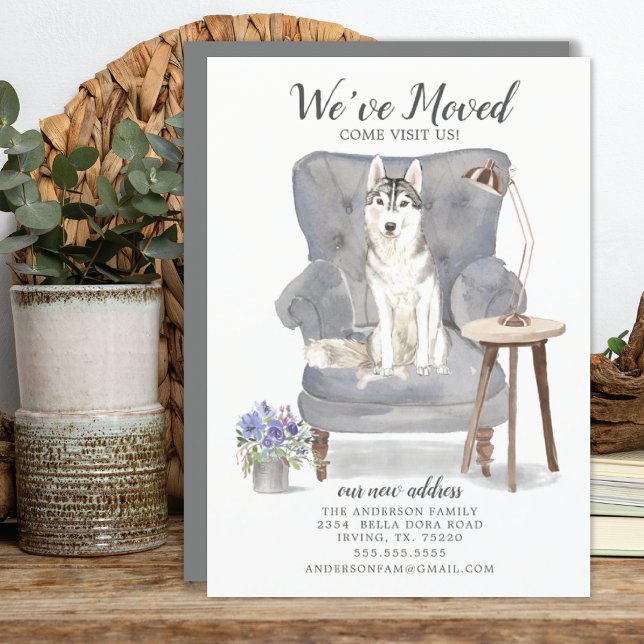 Perro Husky Siberiano Hemos movido la Invitación (Subido por el creador)
