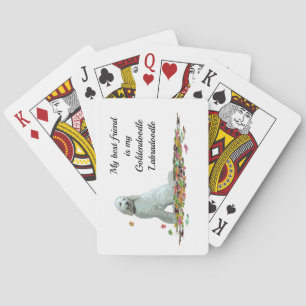 Perro Labradoodle En Hojas Jugando Cartas