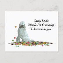 Perro Labradoodle En Hojas Postales