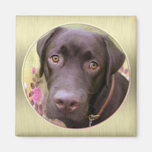 Perro labrador imán