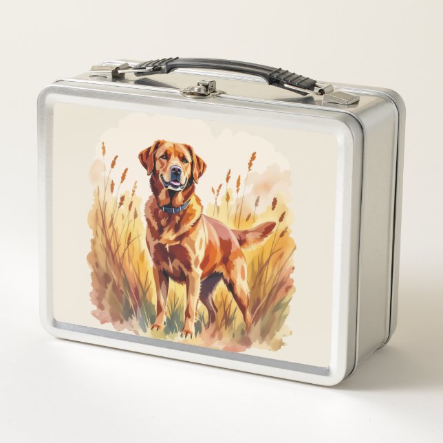 Perro Labrador Retriever Fox Rojo (Anverso)