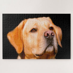 Perro Labrador. Rompecabezas