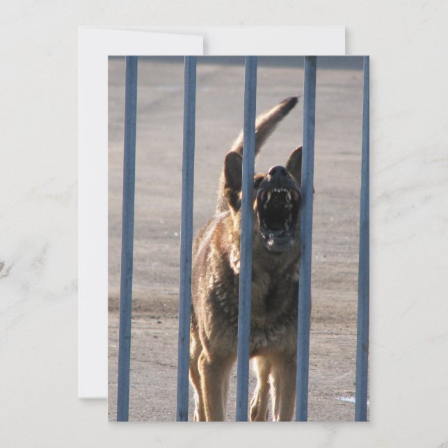 Perro ladrador (Anverso)