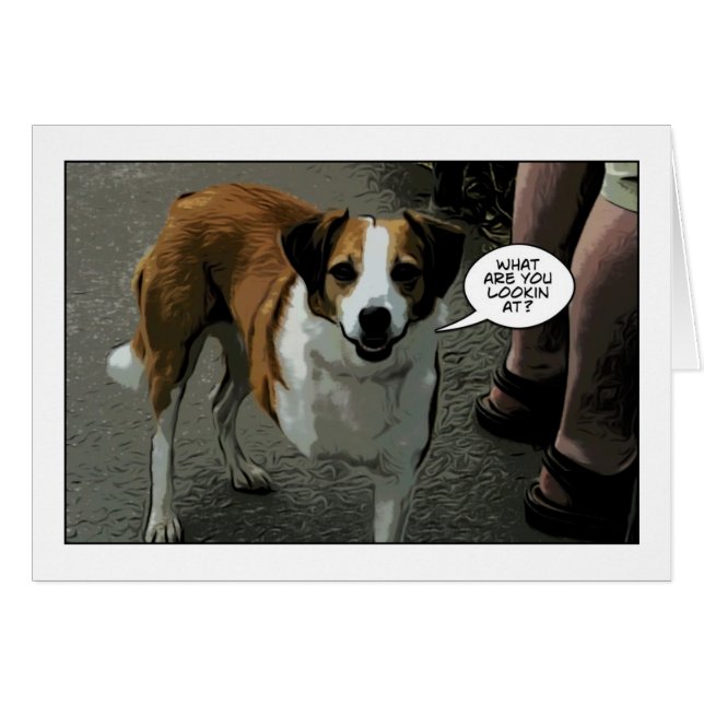 perro legged tres (Anverso (Horizontal))