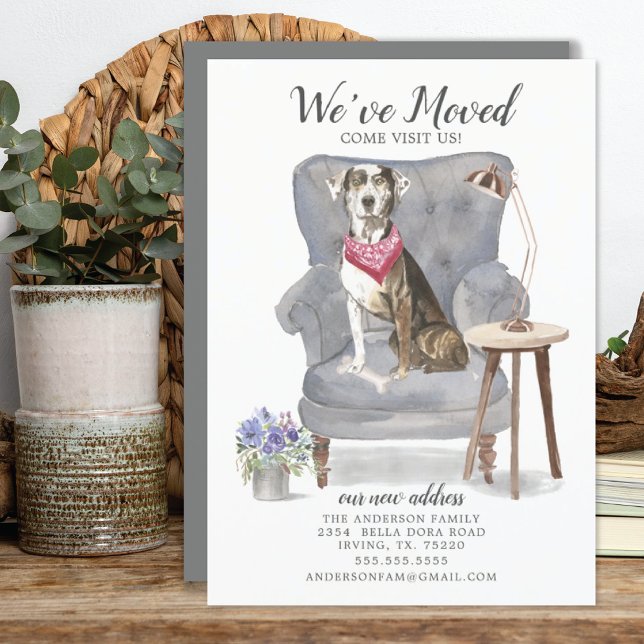 Perro leopardo de Catahoula | Invitación móvil (Subido por el creador)