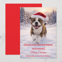 Perro lindo con cita divertida de Navidad | Tarjet