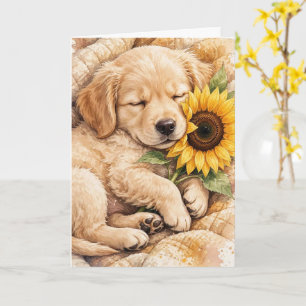 Perro lindo durmiendo con una tarjeta en blanco de