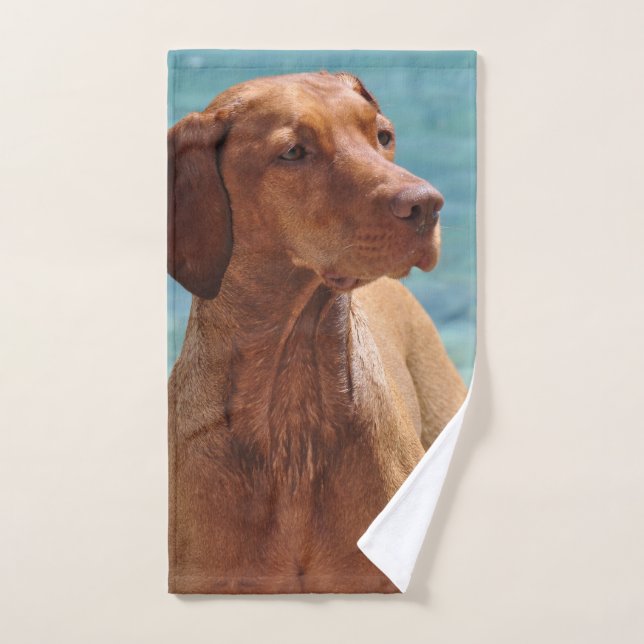 Perro Magyar Vizsla (Toalla de mano)