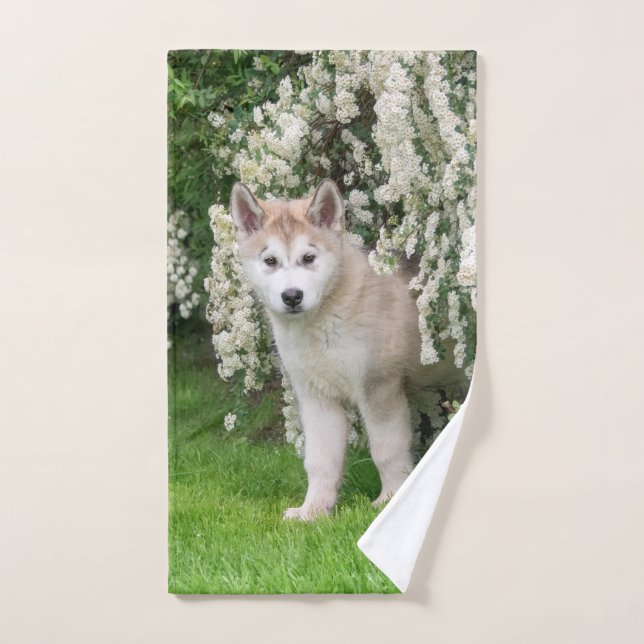 Perro malamute de Alaska en foto - (Toalla de mano)