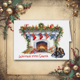 Perro malinés belga esperando a Santa María