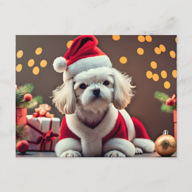 Perro maltés de Santa personalizado Feliz Navidad (Anverso)