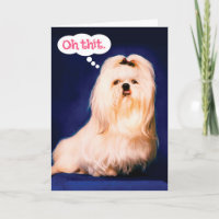 Perro maltés gracioso con tarjeta de cumpleaños re