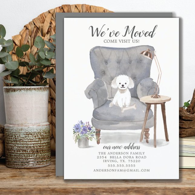 Perro maltés que hemos movido la Invitación (Subido por el creador)