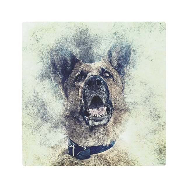 perro, mascota, foto de arte (Anverso)