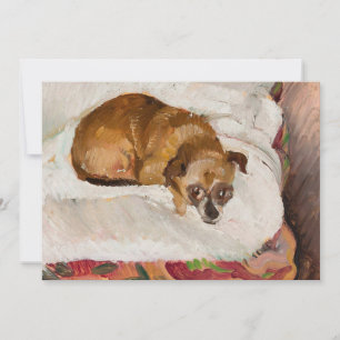 Perro mentiroso   Zygmunt Waliszewski