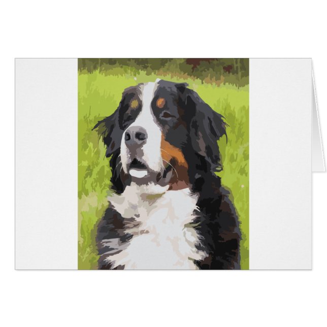 Perro montañés de Berna (Anverso (Horizontal))