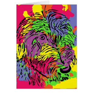 Perro multicolor