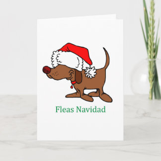 Perro navidad