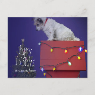 Perro navidad 2012