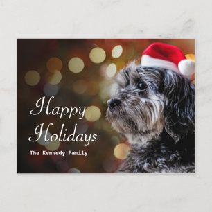 Perro navidad esperando a Santa María